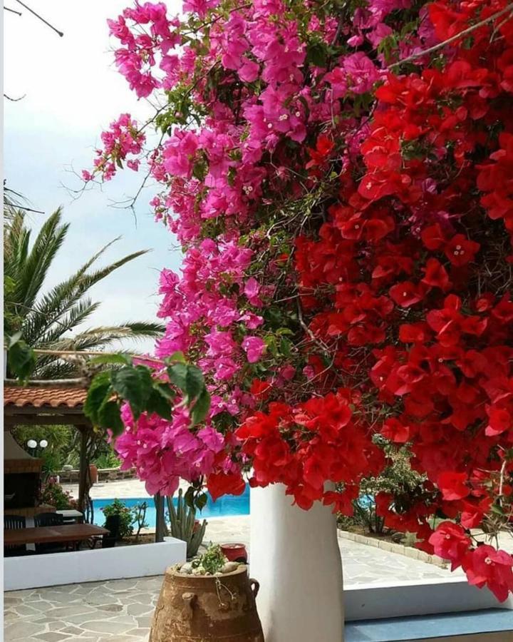 Villa Pari Manda Agios Prokopios (Naxos) Exterior foto