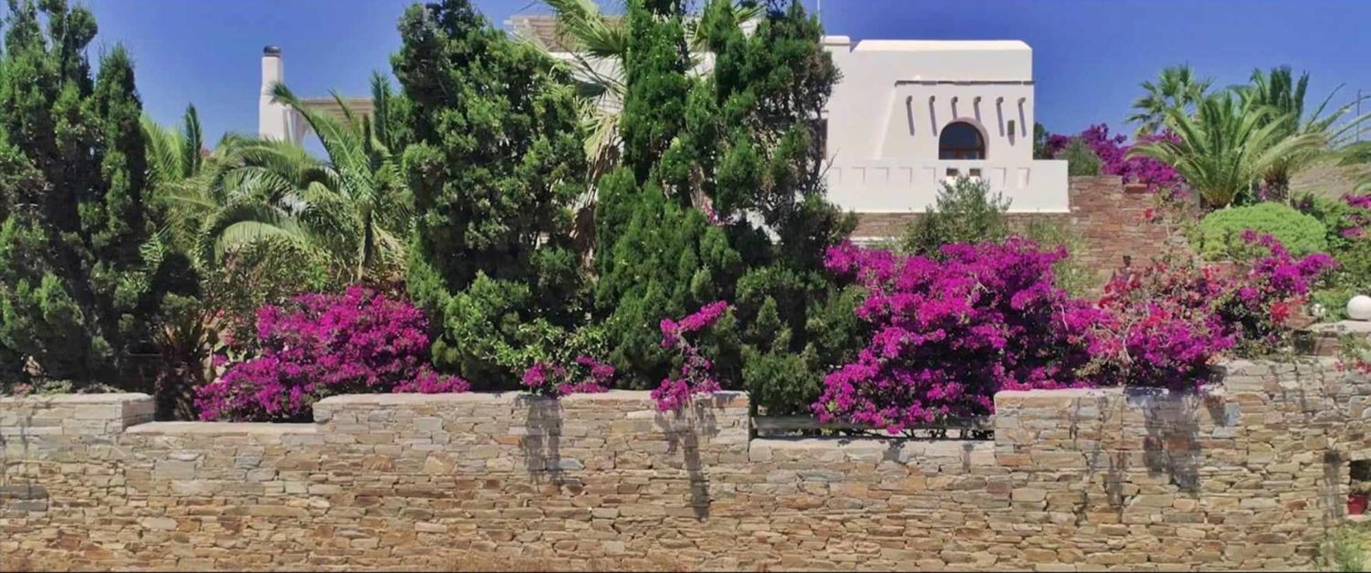 Villa Pari Manda Agios Prokopios (Naxos) Exterior foto